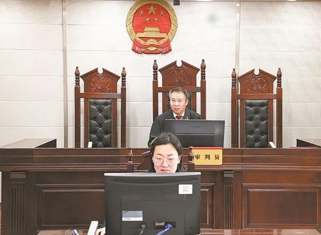 3萬買貓后續(xù)治療費6萬法院判了！(圖4)