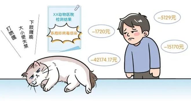 3萬買貓后續(xù)治療費6萬法院判了！(圖3)