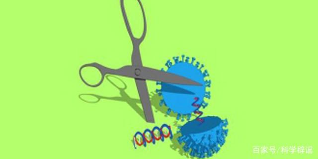 基因操控的Crispr技術對抗新型冠狀病毒(圖1)