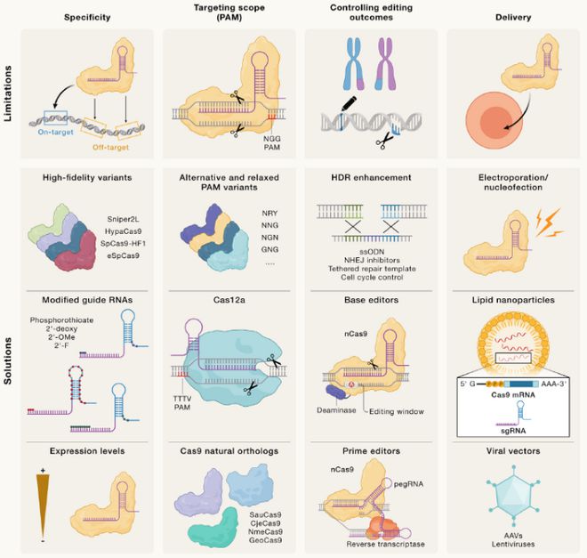 Cell｜CRISPR基因編輯技術(shù)的過去、現(xiàn)在和未來(圖3)