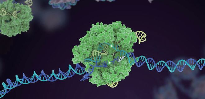 押寶CRISPR和人工智能！張澤民院士團(tuán)隊(duì)的研究方向開始更新了！(圖2)